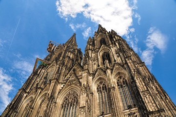 Fototapeta premium cologne cathedral, Cologne, Germany