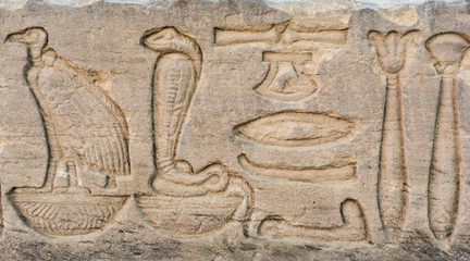 old egypt hieroglyphs carved on the stone. Detail from temple wa
