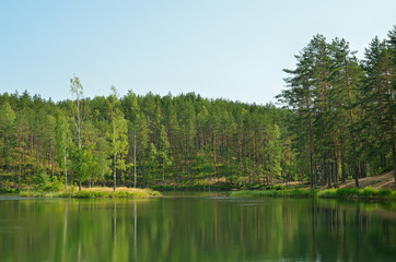 Trees on lake