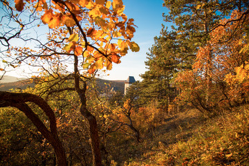 Autumn landscape, Collection of beautiful Colorful Autumn Leaves