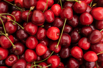 Red Cherries.  Cherry selection. ripe berries cherries