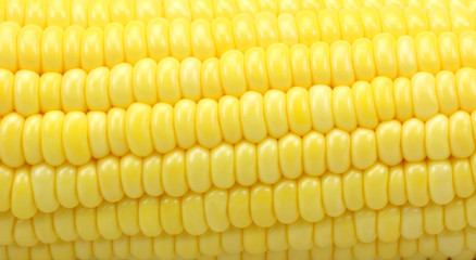 Yellow sweet corn