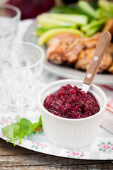 Cranberry Red Onion Sauce