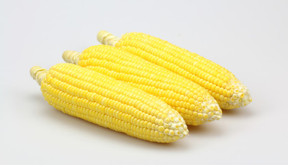 ears of sweet corn isolated on white background