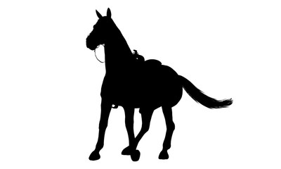 Horse silhouette
