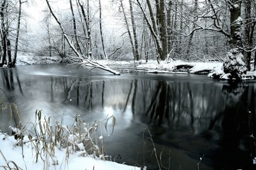 jar rzeki Raduni zimą