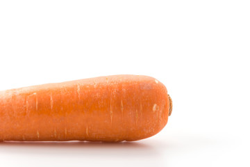 carrot