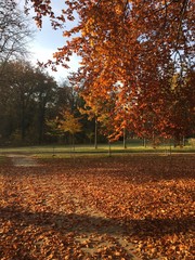 Goldener Herbst