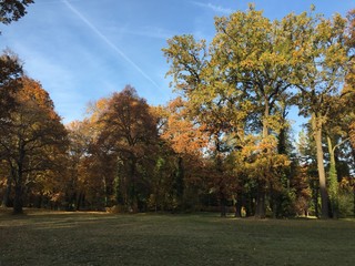 Herbstspaziergang