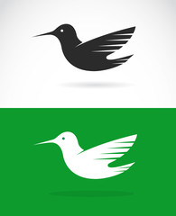 Vector image of an hummingbird design on green background and wh