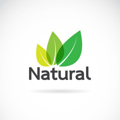 Natural logo design vector template on white background.