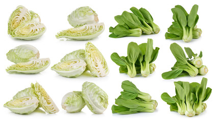  Cabbage and Bok choy vegetable on white background