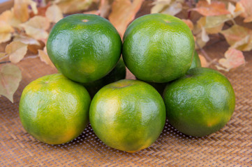 Group of fresh oranges in a basket on maple leaves background