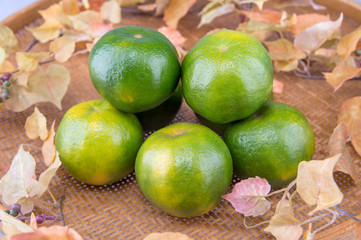 Group of fresh oranges in a basket on maple leaves background