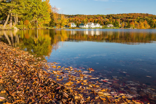 Elmore state park in Autumn