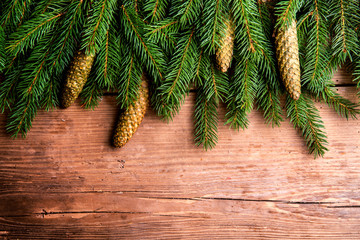 Tree branches on wooden background