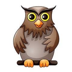 Cute owl cartoon
