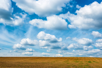 Agriculture field