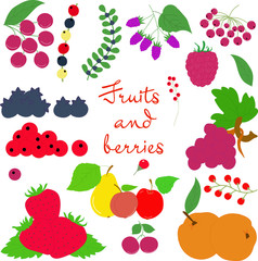 Fruits and berries on a transparent background big size