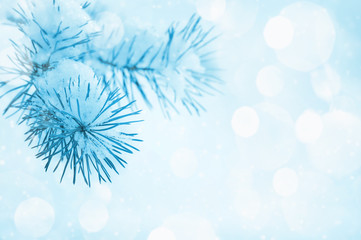 Fototapeta na wymiar Christmas background with a coniferous branch in snow
