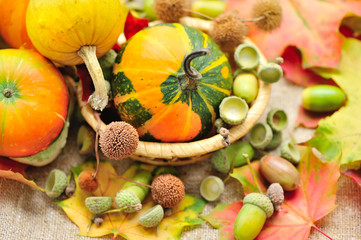 Mini decorative pumpkin with acorns on autumn leaves