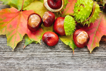 Fresh chestnuts with maple leaves on wooden background