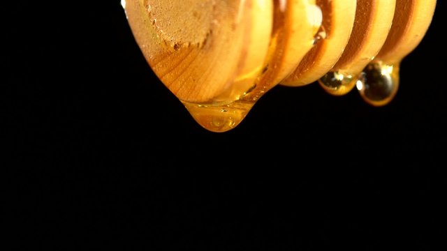 Honey dripping from a wooden honey dipper, on black, close up