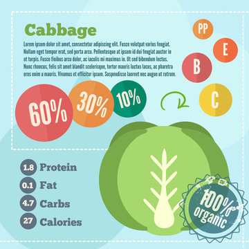 Cabbage infographics and vitamins in a flat style. Vector illustration. EPS 10