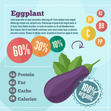 Eggplant infographics and vitamins in a flat style. Vector illustration. EPS 10
