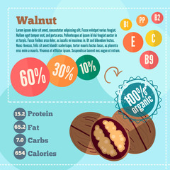 Walnut apple and vitamins in a flat style. Vector illustration EPS 10
