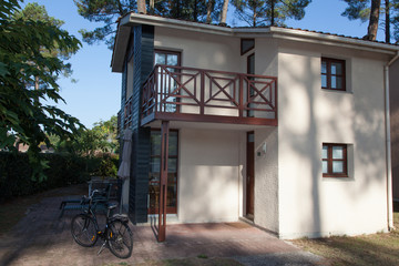 Modern house with trees