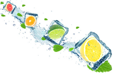 citrus slices splash isolated 