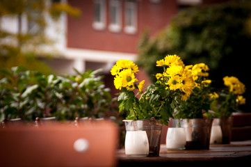 Small sunflowers in metal pails
