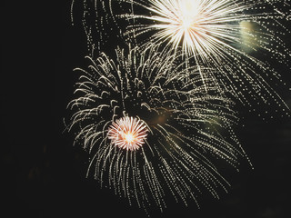 Colorful fireworks of various colors light up the night sky