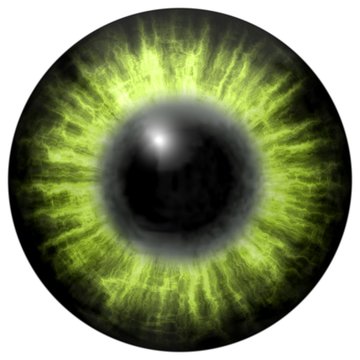 bright green human  eye with middle pupil and dark retina. Dark colorful iris around pupil, detail view into eye bulb.
