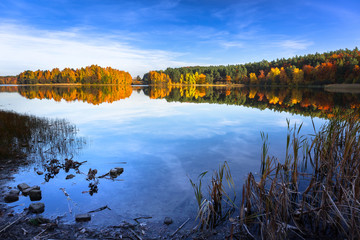 Autumn at the lake in Poland