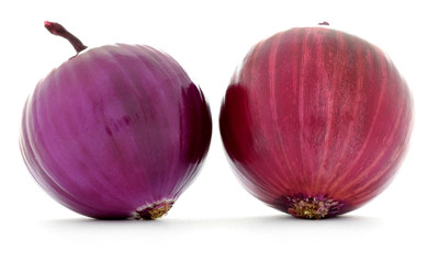 Two onions with red and purple clean smooth skins isolated