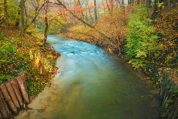 Amazing photo of flowing stream on colorful autumn forest