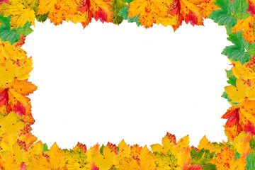 Naklejka na ściany i meble Autumn leaves frame over white for your text