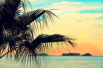 Fototapeta na wymiar Sunset on the Turkish beach.Toned image.
