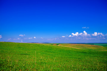 Fototapeta premium green field