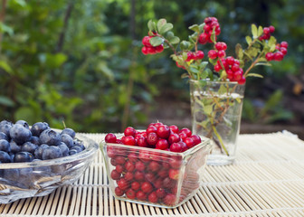Wild cranberries