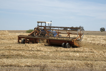 Fototapeta premium Harvesting wheat using a tractor and a row crop cutter in the Swartland region of South Africa