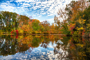 Autumn on th Pond - 94956788