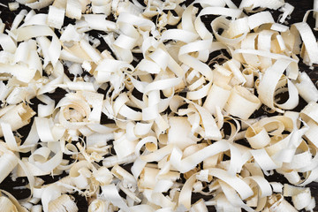 Wooden shavings