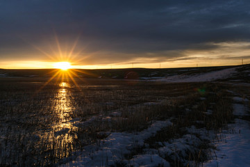 Fototapeta premium dawn in the spring field
