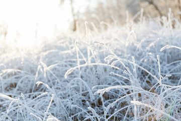 Winter landscape, river under the ice