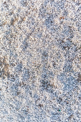 Winter landscape, river under the ice