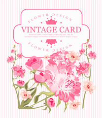 Border of flowers peony in vintage style. Vector illustration.