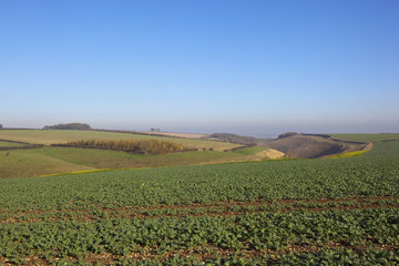 Fototapeta premium scenic horsedale valley